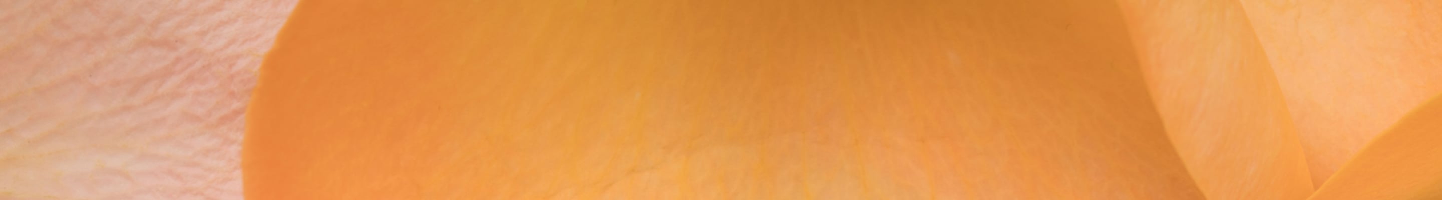 Balmain Beleganza est l&rsquo;alliance de la beaut&eacute; et de l&rsquo;&eacute;l&eacute;gance, refl&eacute;tant son attrait intemporel. Son design fin et &eacute;l&eacute;gant est associ&eacute; &agrave; un bracelet &agrave; cinq maillons qui apporte du caract&egrave;re et de la profondeur.